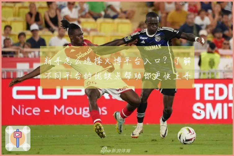 新手怎么选择火博平台入口？了解不同平台的优缺点帮助你更快上手