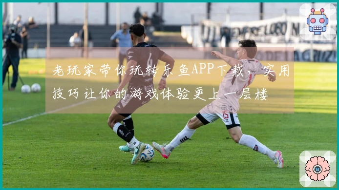 老玩家带你玩转乐鱼APP下载，实用技巧让你的游戏体验更上一层楼