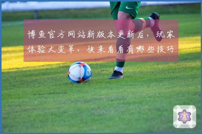 博鱼官方网站新版本更新后，玩家体验大变革，快来看看有哪些技巧与收益！